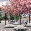 Superkilen