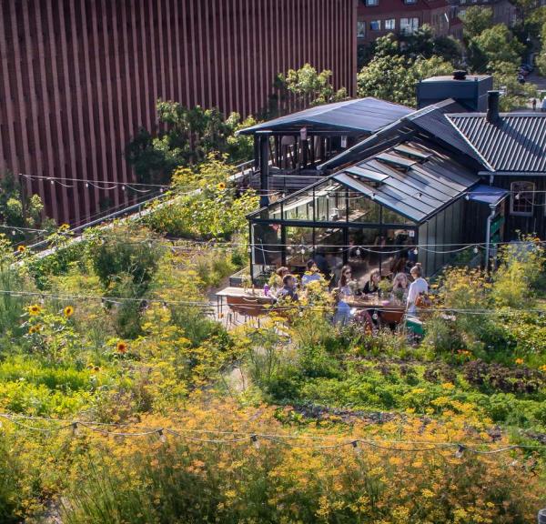 Gro Spiseri | Giuseppe Liverino