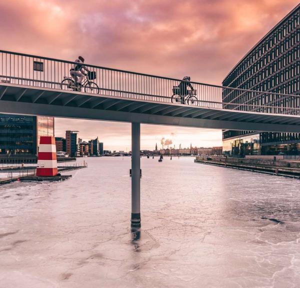 The Bicycle Snake | Copenhagen Mediacenter