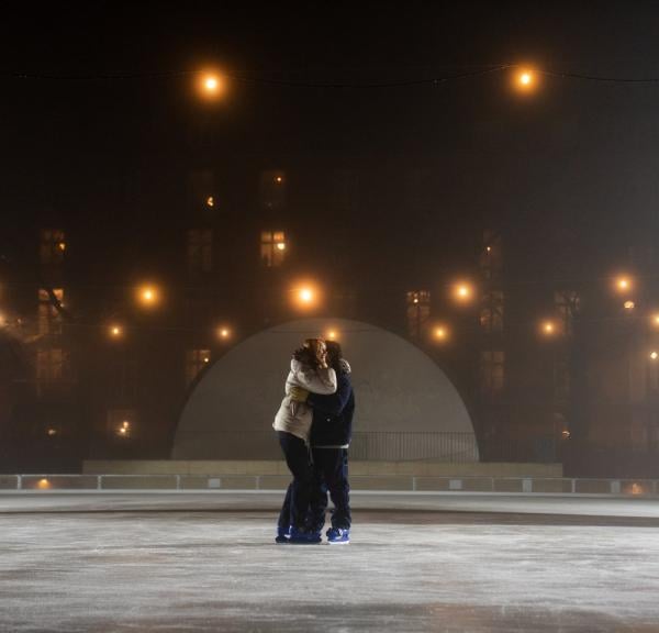 Engehave Park Ice Rink