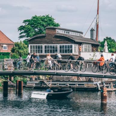 Biking in Copenhagen