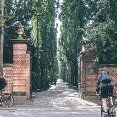 Assistens Cemetery | Sebastian Himmelstrup