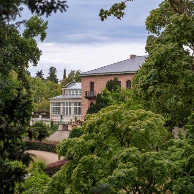 Botanisk