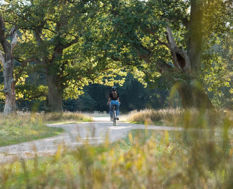 Bike ride in Dyrehaven