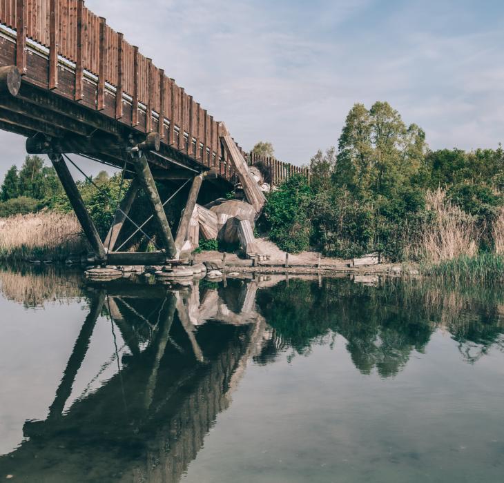 Oscar under the bridge